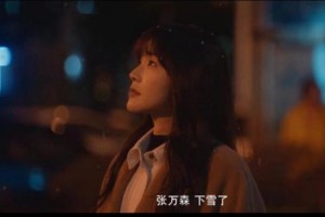 张万森,下雪了是什么意思