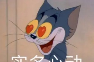 這下Tom了是什么意思