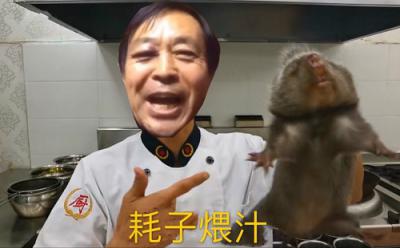 耗子喂汁