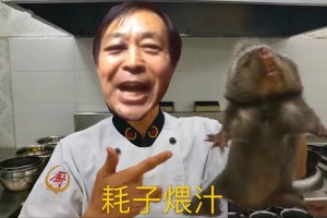 耗子喂汁是什么意思