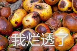 早知道爛地里了是什么意思