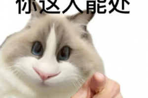 “XX能處,有事真上”是什么意思