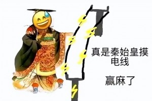 秦始皇摸电线是什么意思