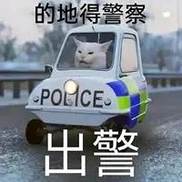 的地得警察