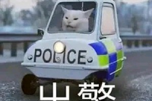 的地得警察是什么意思