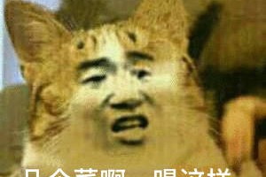 ?幾個(gè)菜啊喝成這樣是什么意思