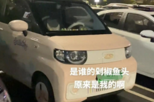 剁椒魚頭車是什么意思