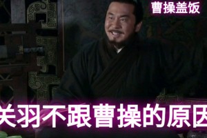 曹操蓋飯是什么意思