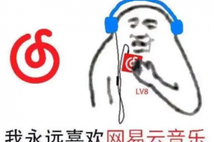 網(wǎng)易云八級(jí)是什么意思
