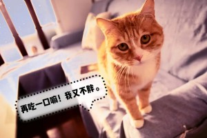 要吃飯的嘛是什么意思