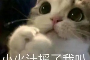 搖了我吧是什么意思