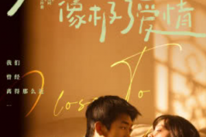 像極了愛(ài)情是什么意思