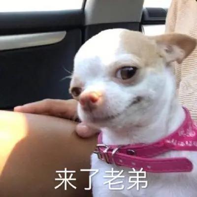 来了老弟