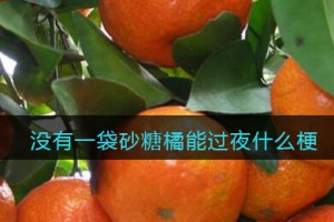 沒有一袋砂糖橘能過夜是什么意思