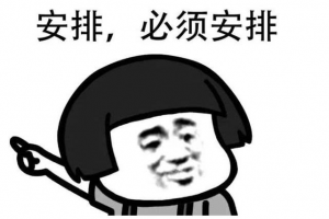 安排上了是什么意思