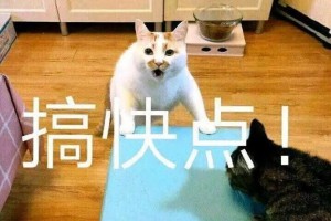 gkd是什么意思