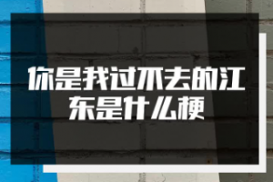 你是我過(guò)不去的江東是什么意思
