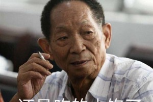 還是吃的太飽了是什么意思