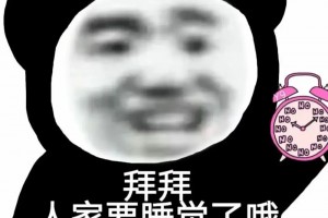 互联网脸替是什么意思