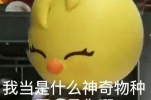噠姐噠哥是什么意思