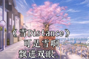 可是雪是什么意思