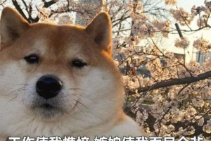 上班失語癥是什么意思