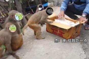 故氏哥點外賣