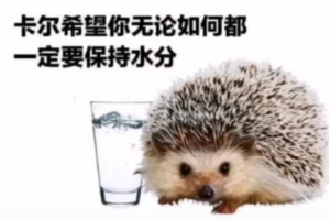 謝謝卡爾是什么意思