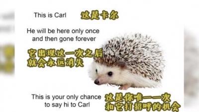 謝謝卡爾