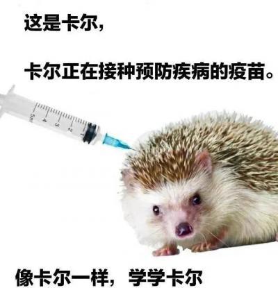 謝謝卡爾