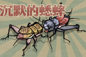 电子斗蛐蛐是什么意思