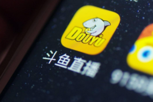 斗魚合砍是什么意思