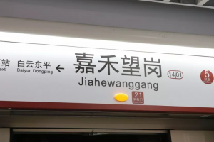嘉禾望崗是什么意思
