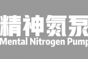 精神氮泵是什么意思