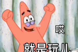 就是玩儿是什么意思