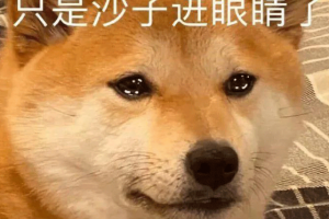 眼睛里進(jìn)磚頭了是什么意思