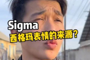 sigma西格瑪是什么意思