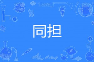同擔(dān)是什么意思