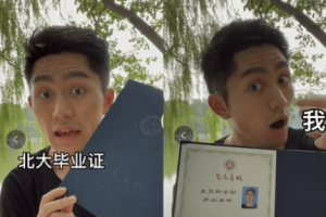 沉浸式凡爾賽是什么意思
