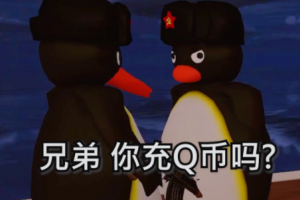 你充q幣嗎是什么意思