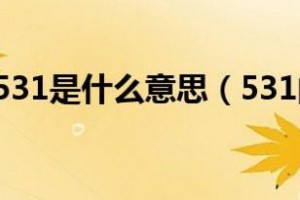 531是什么意思