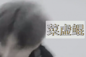 菜虚鲲是什么意思