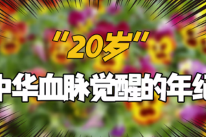 20岁中华血脉开始觉醒是什么意思