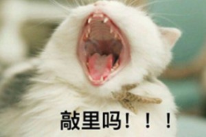 敲里嗎是什么意思