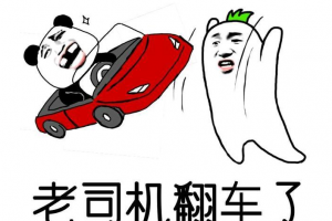 翻車是什么意思