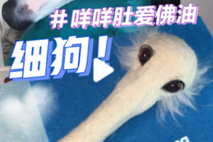咩咩肚爱佛油是什么意思