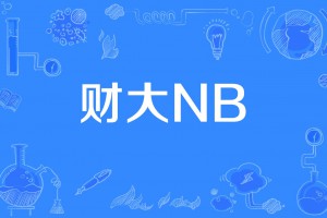 財大NB是什么意思