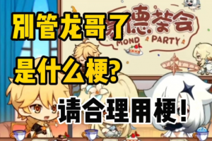 別管龍哥了是什么意思