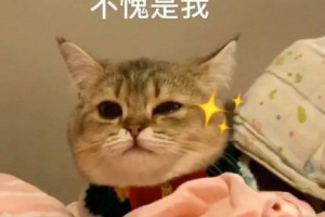 不愧是我是什么意思