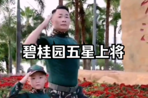 碧桂园五星上将是什么意思